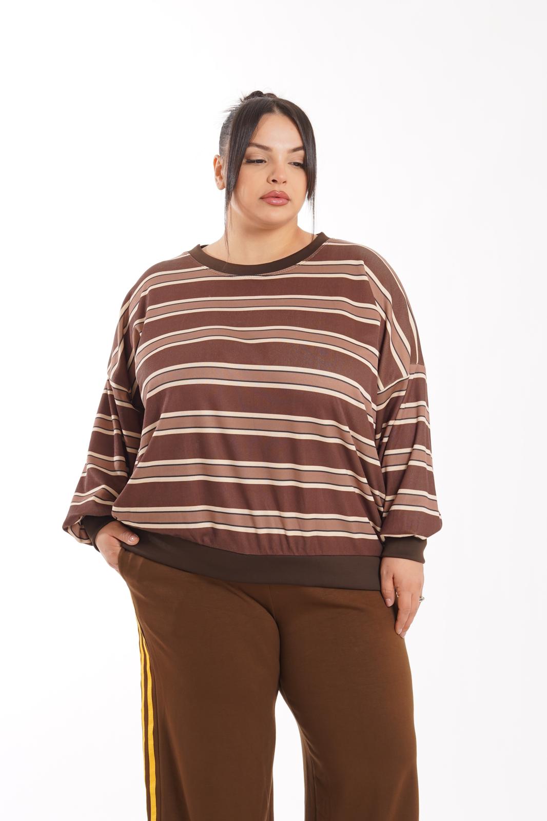 Felpa a righe marrone