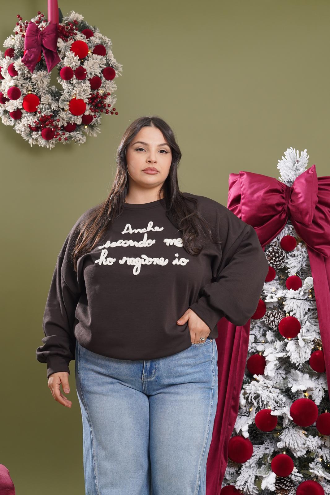 Felpa "Anche secondo me ho ragione io" marrone