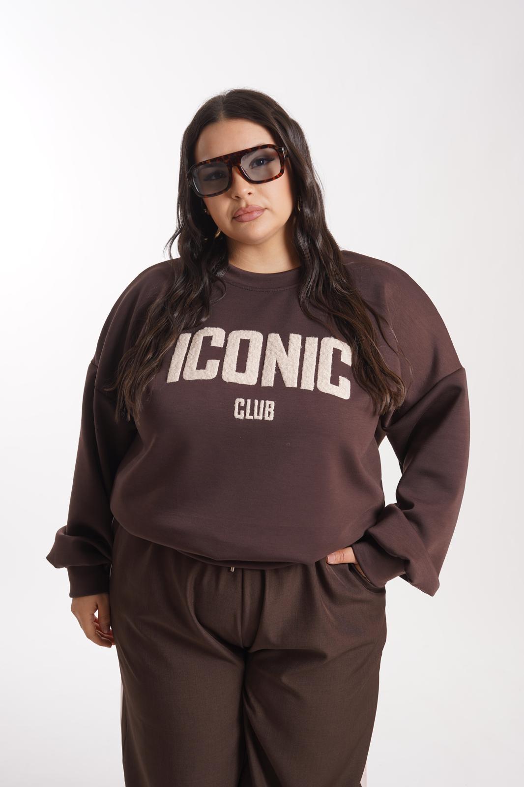 Felpa Iconic marrone