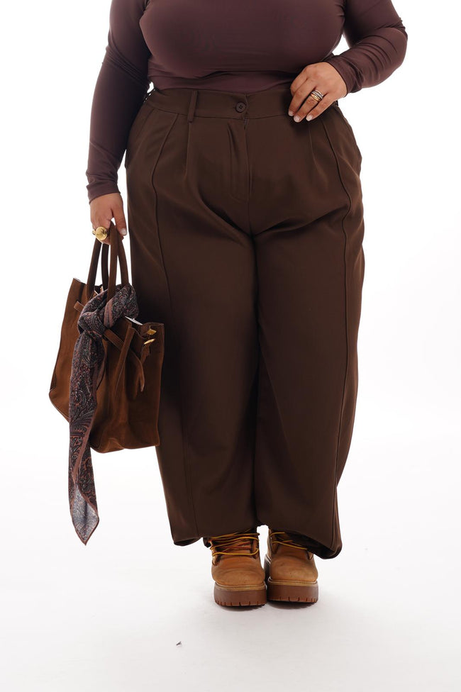 Pantalone Con Pinces Marrone